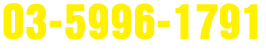 03-5996-1791