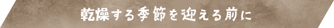 乾燥する季節を迎える前に