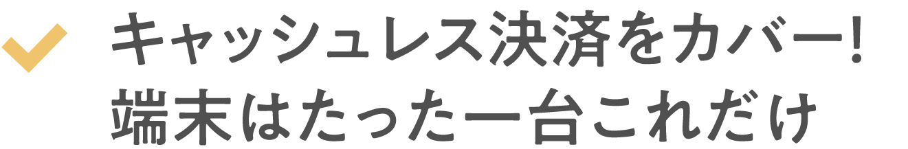 キャッシュレス決済を一括網羅！端末はたった一台これだけ